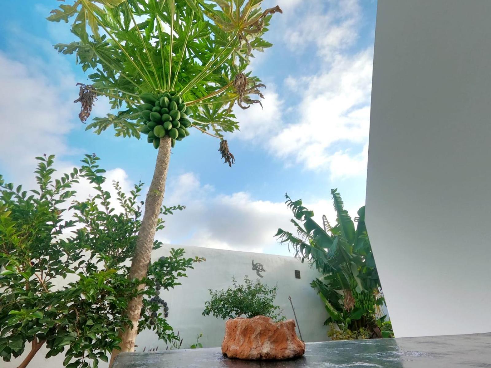 Jardin Del Mar Daire Tinajo Dış mekan fotoğraf